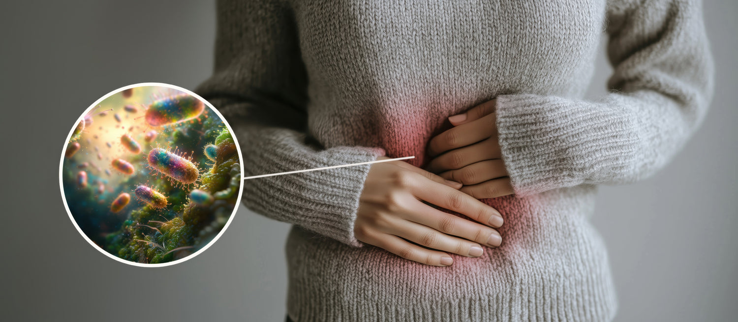 Supporting PCOS Naturally: Gut Health, Inflammation, and Emerging Botanical Research
